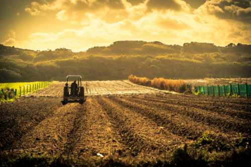 Tarım Makineleri Seçerken Nelere Dikkat Edilmelidir?